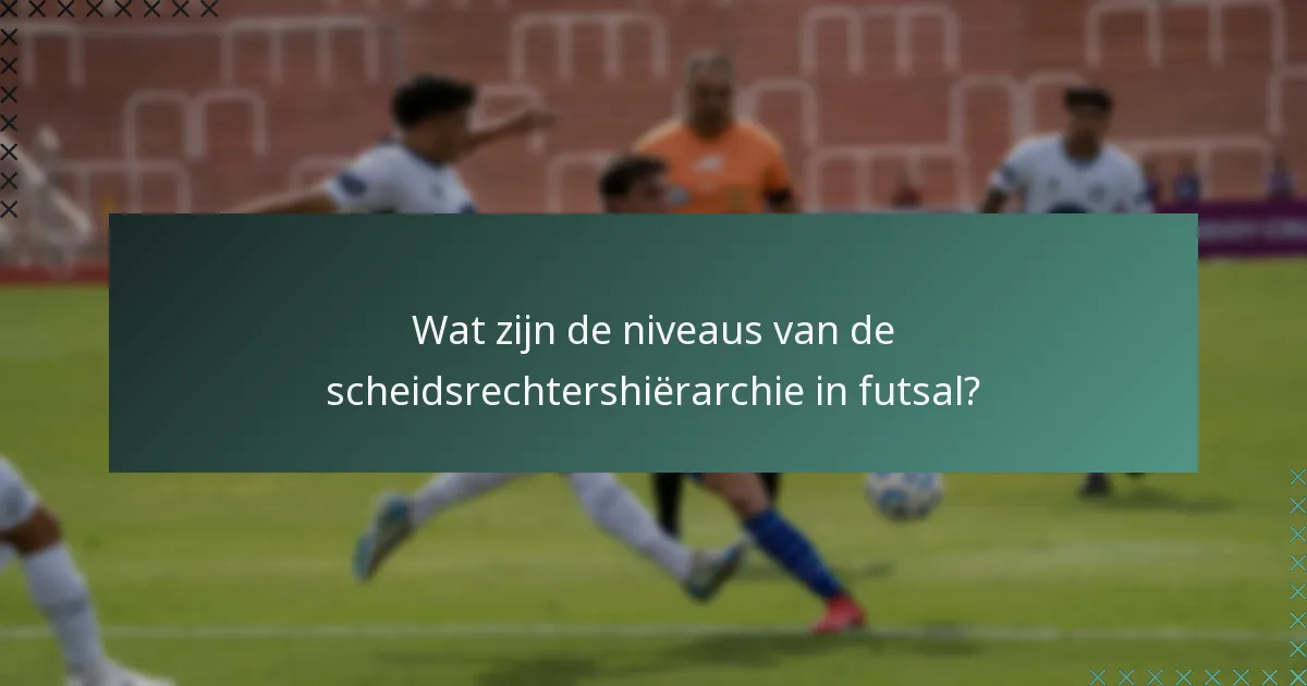Wat zijn de niveaus van de scheidsrechtershiërarchie in futsal?